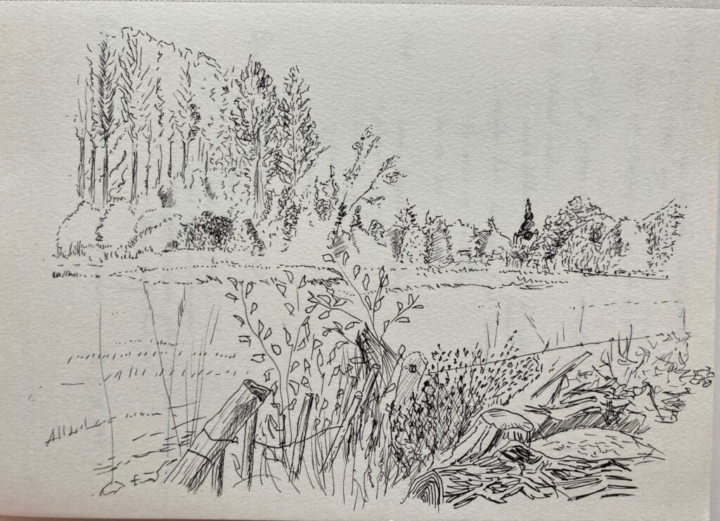 Ink drawing of a landscape with meadows in foreground and poplar trees in background, with shrubs as hedges and a church tower peeking through the distant shrubs. In the foreground is the fence of the meadow and the remains of a felled tree.