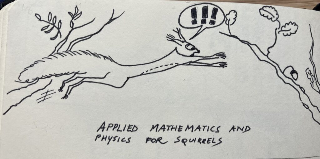 Squirrel jumps from one branch to another and shouts !!! as it looks like his jump will fall short, even as he stretches out. Text: Applied mathematics and physics for squirrels