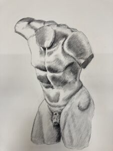 naked male torso drawing