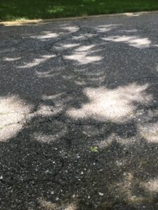 partial solar eclipse pinholes