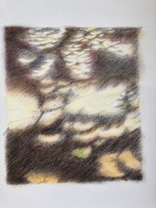 work in progress on pastel drawing